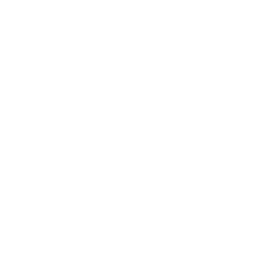 Prompt Armor logo